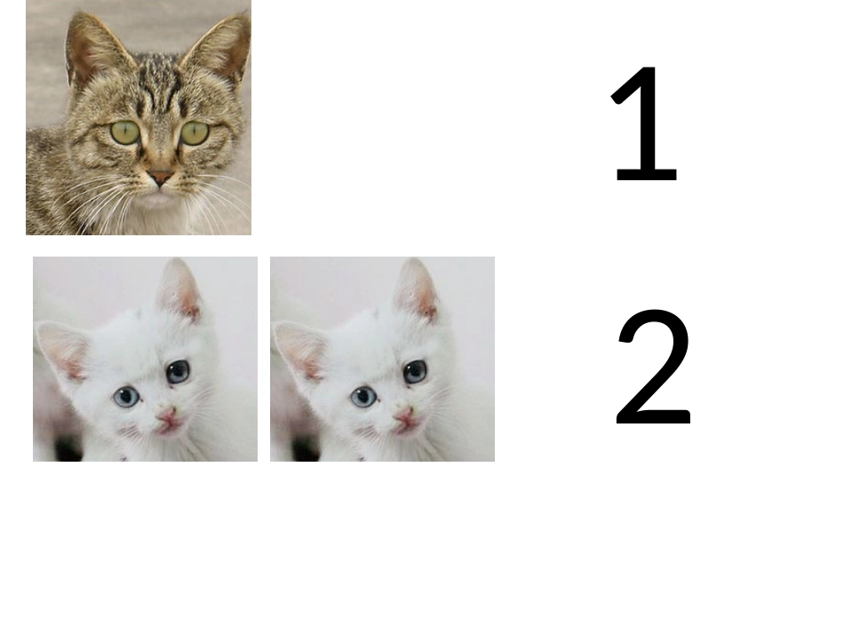 复习23的相邻数_第2页