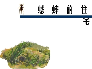 语文四年级上册7蟋蟀的住宅
