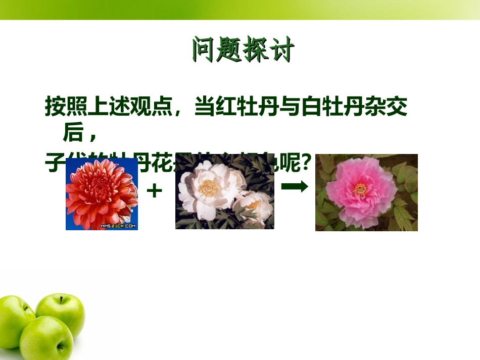 生物必修2第1章第1节_第3页