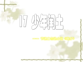 少年闰土PPT课件杨志标