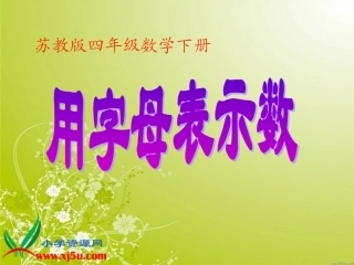 用字母表示数田玉龙