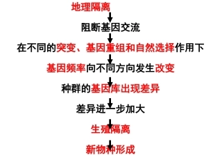 第三课时作业讲评