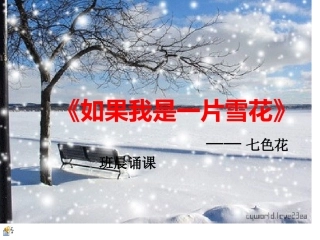 如果我是一片雪花(1)