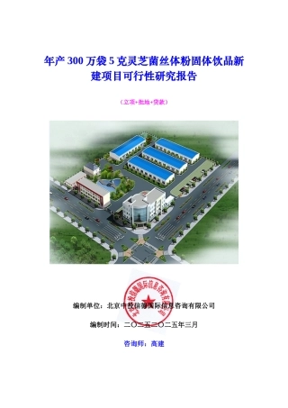 体粉固体饮品新建项目可行性研究报告