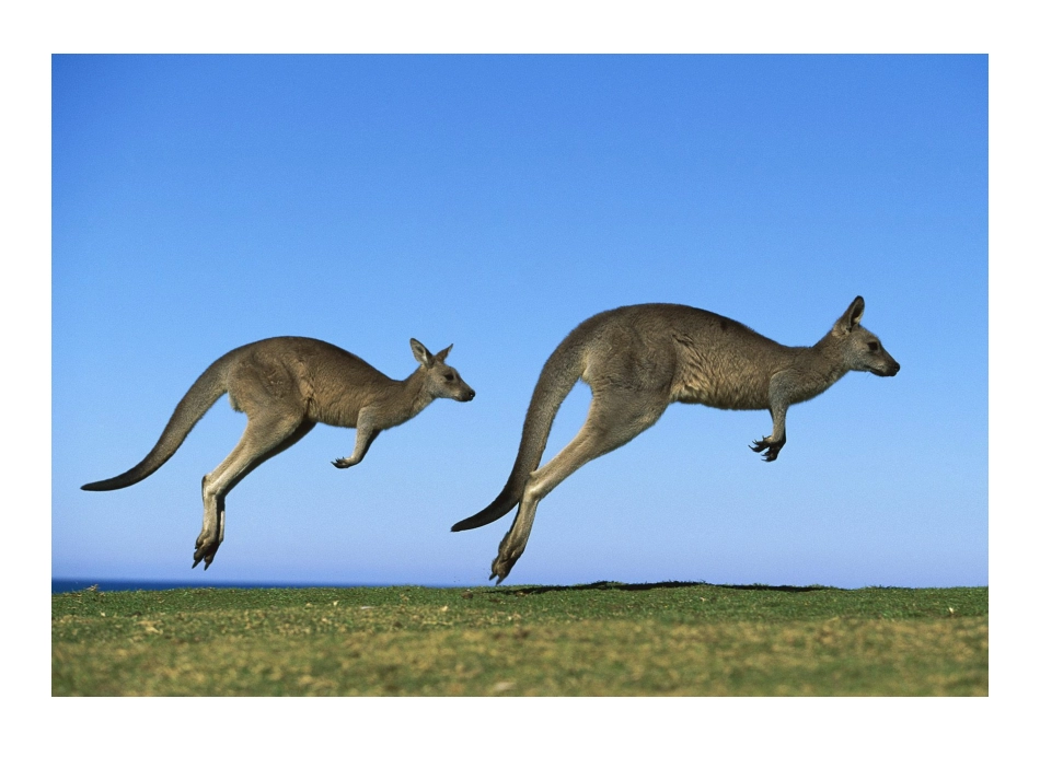 六年级数学上册2分数乘法1分数乘法第一课时课件_第3页