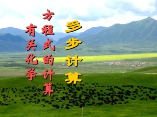有关化学方程式计算--多步计算