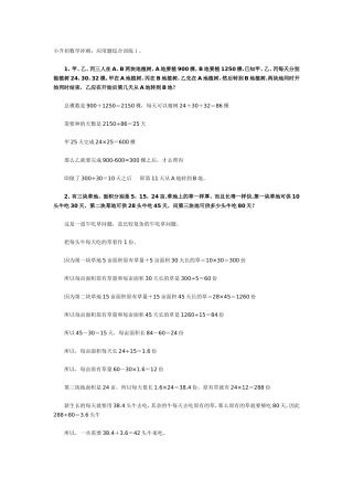 小升初冲刺：解决问题