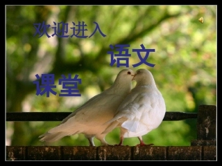 《明天不封》课件