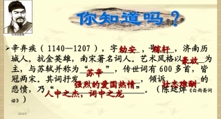 水龙吟登建康赏心亭