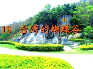 台湾的蝴蝶谷 (2)