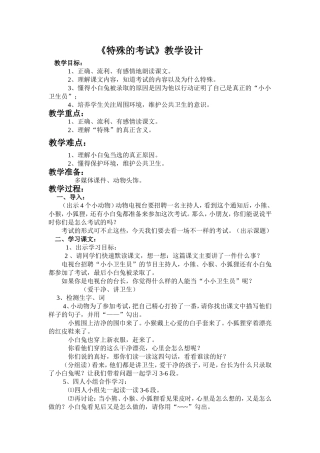 特殊的考试教案定稿