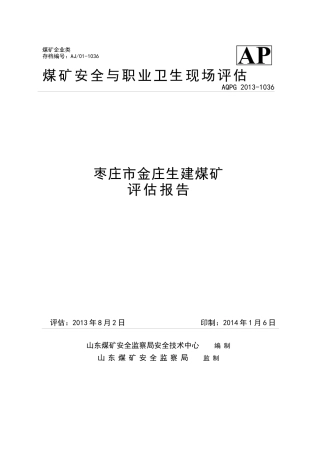生建煤矿-评估报告
