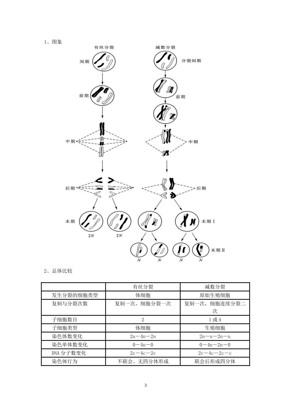 《遗传与进化》经典知识_第3页