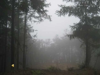 识字3教学课件(1)