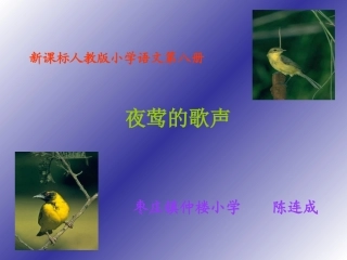 夜莺的歌声四年语文课件