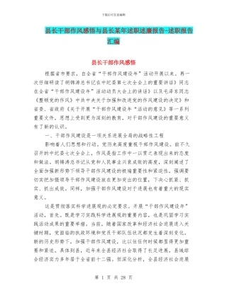 县长干部作风感悟与县长某年述职述廉报告