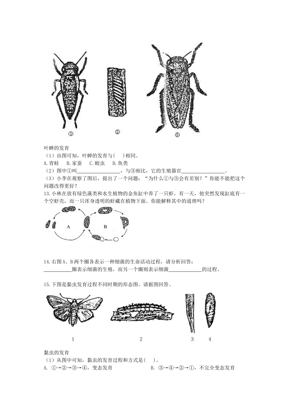 生物圈中生命的延续和发展_第2页