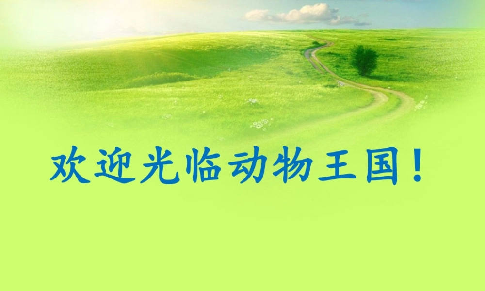 妙笔生花“绘”动物