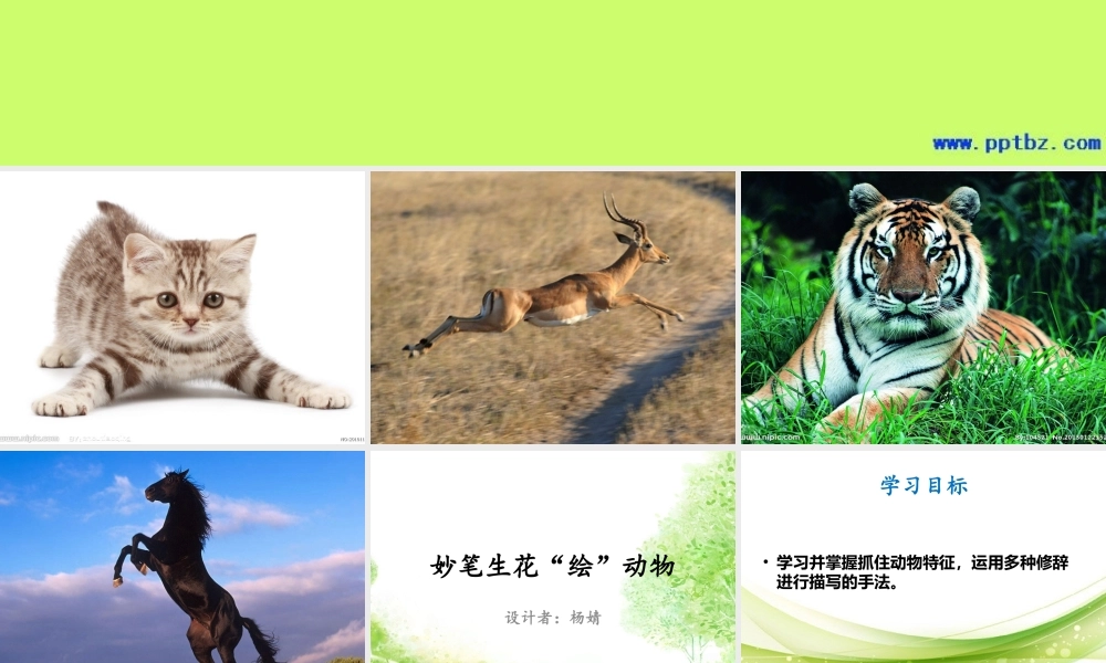妙笔生花“绘”动物