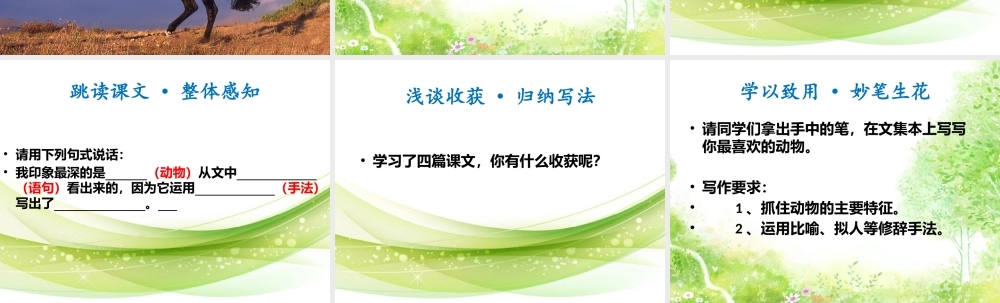 妙笔生花“绘”动物