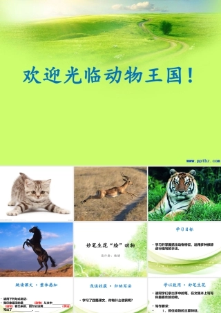 妙笔生花“绘”动物