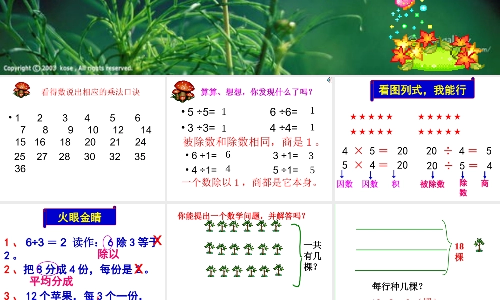 表内除法(一)的整理和复习课件111