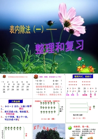 表内除法(一)的整理和复习课件111