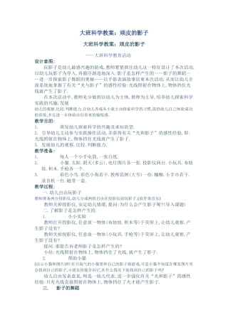 大班科学教案顽皮的影子