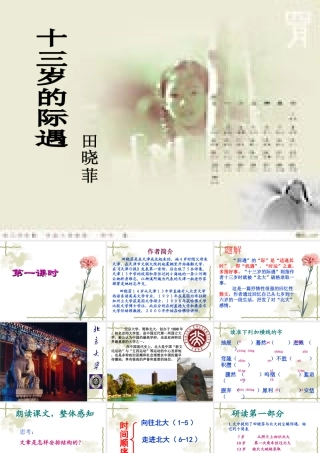 十三岁的际遇（修订）