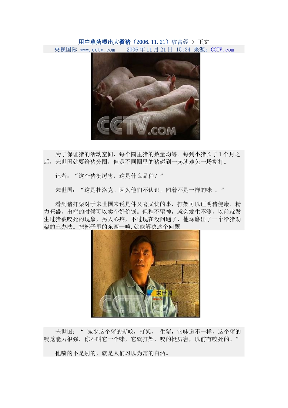 用中草药喂出大臀猪_第1页