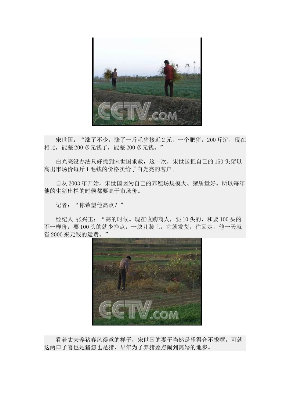 用中草药喂出大臀猪_第3页