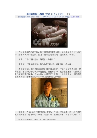 用中草药喂出大臀猪