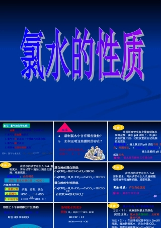 氯水的性质课件