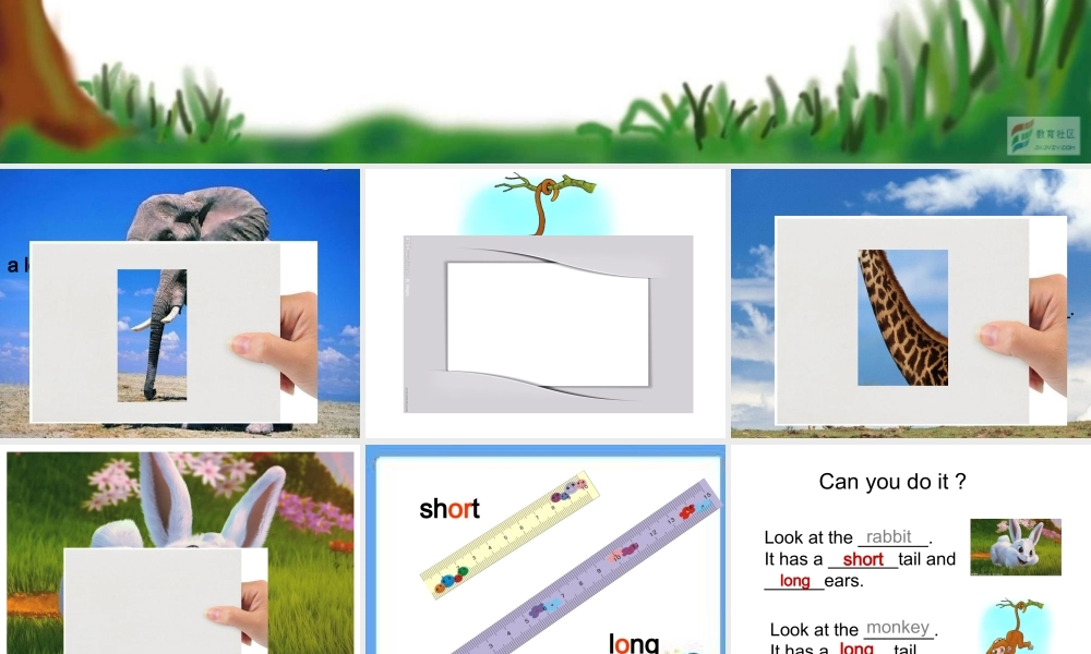 pep新版小学英语三年级下册第三单元第五课时课件