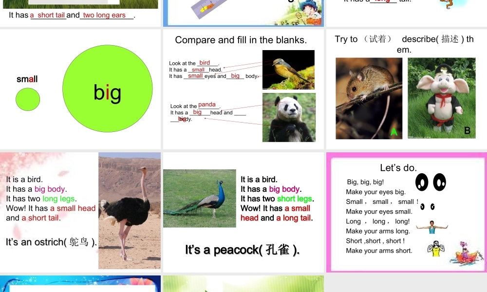 pep新版小学英语三年级下册第三单元第五课时课件