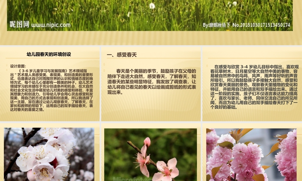 幼儿园春天的环境创设