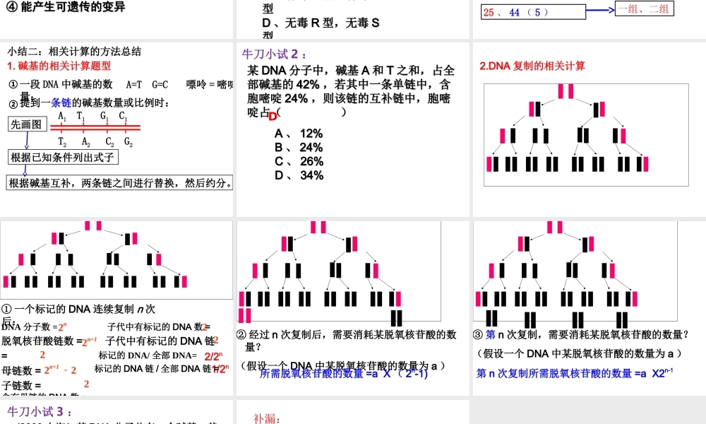 复习第3章基因的本质