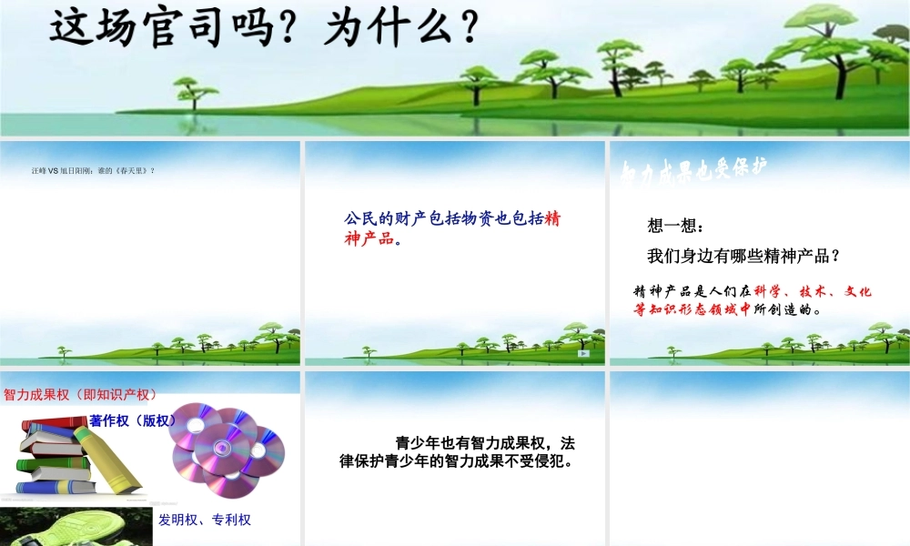 智力成果受法律保护确定