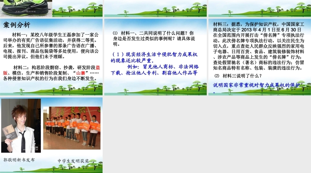 智力成果受法律保护确定