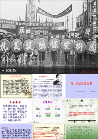 青山处处埋忠骨PPT