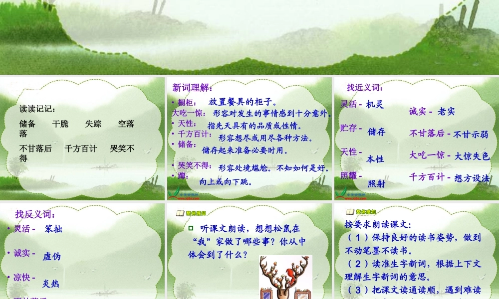 《跑进家来的松鼠》教学参考课件