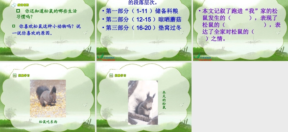 《跑进家来的松鼠》教学参考课件