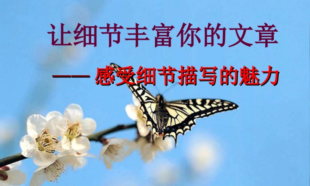 作文讲解---细节描写课件