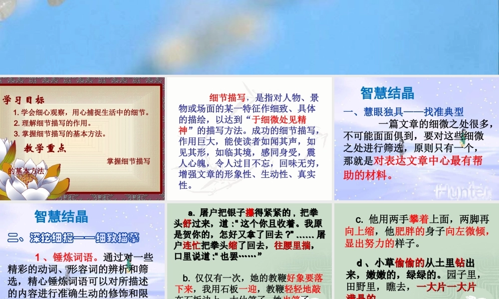 作文讲解---细节描写课件