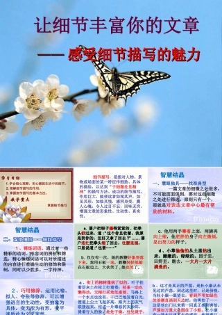 作文讲解---细节描写课件