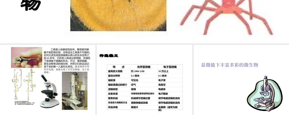 六年级科学显微镜下的世界
