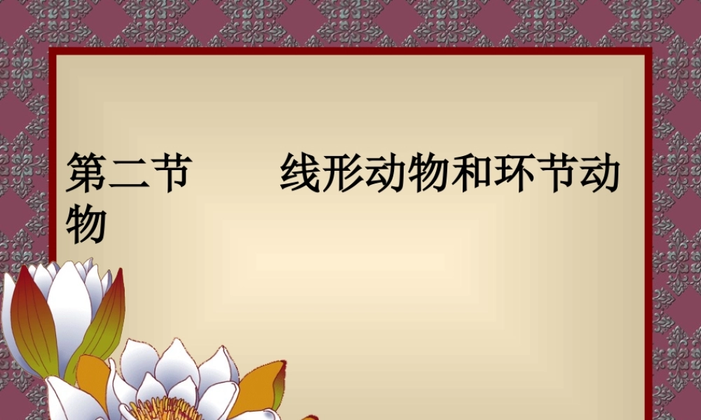 第二节线形动物和环节动物 (2)
