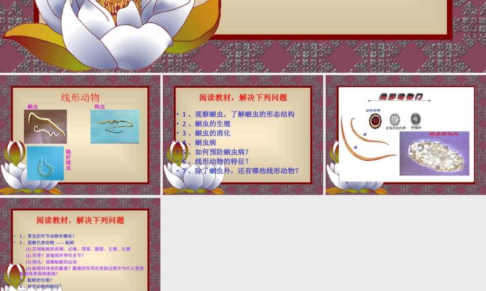 第二节线形动物和环节动物 (2)