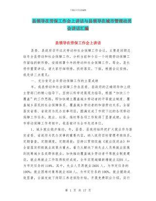 县领导在劳保工作会上讲话与县领导在城市管理动员会讲话汇编