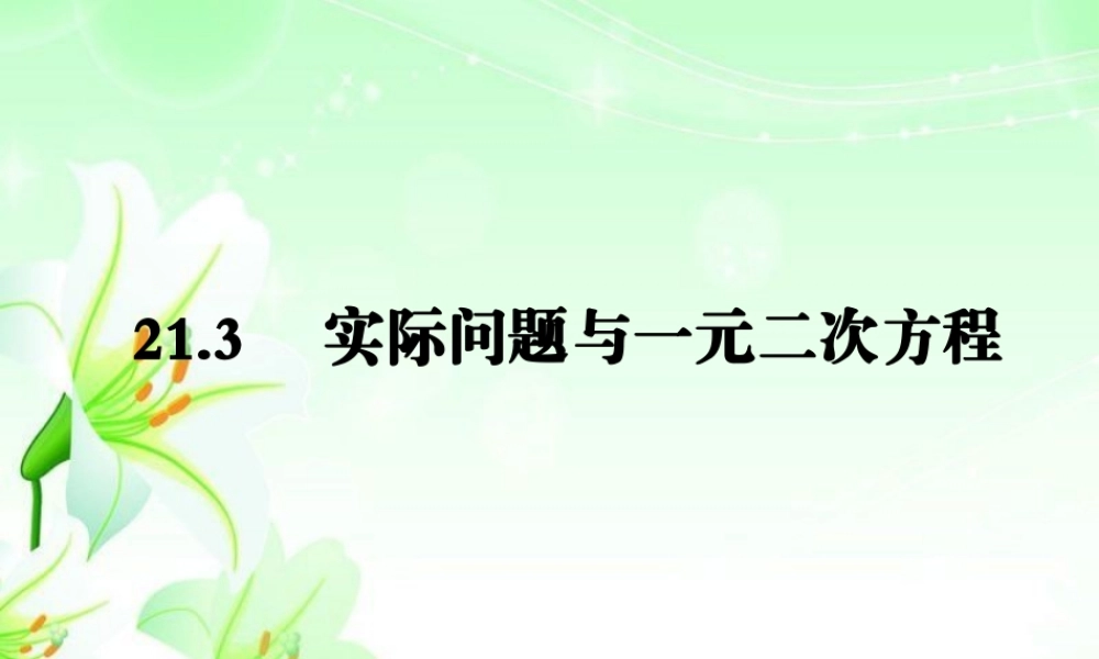 新人教版九上《213实际问题与一元二次方程》课件